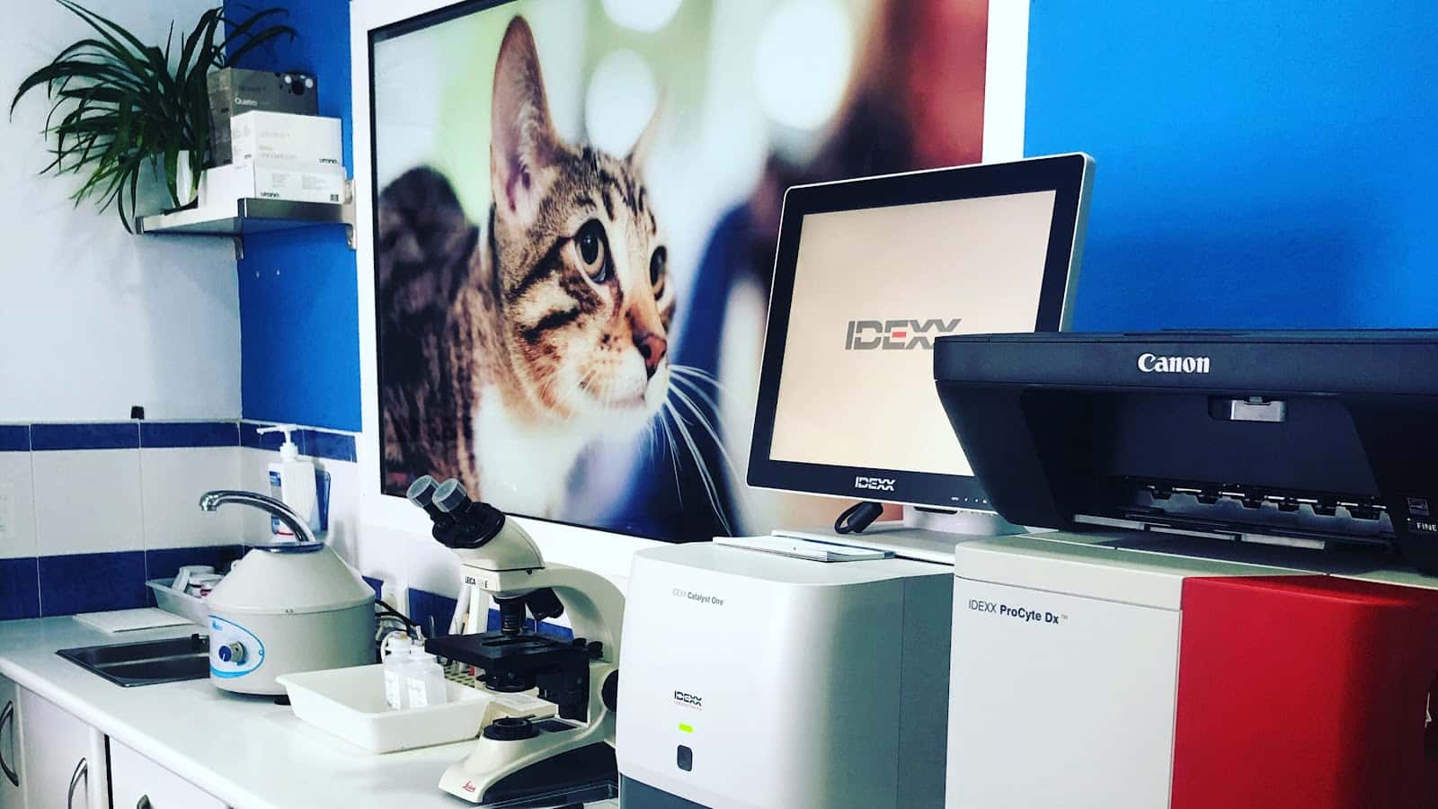 Clínica Veterinaria La Caleta | MiVet