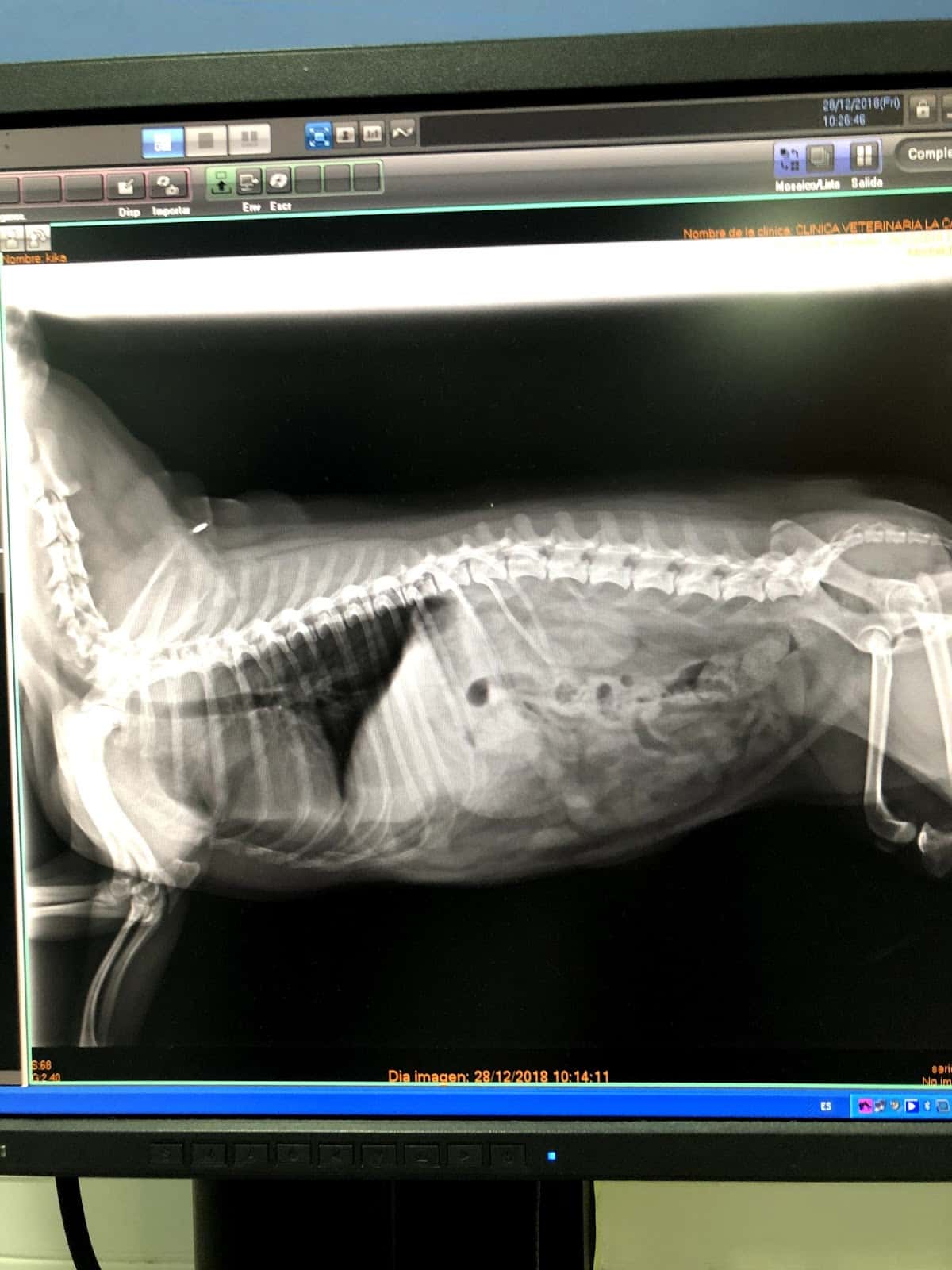 Clínica Veterinaria La Caleta | MiVet
