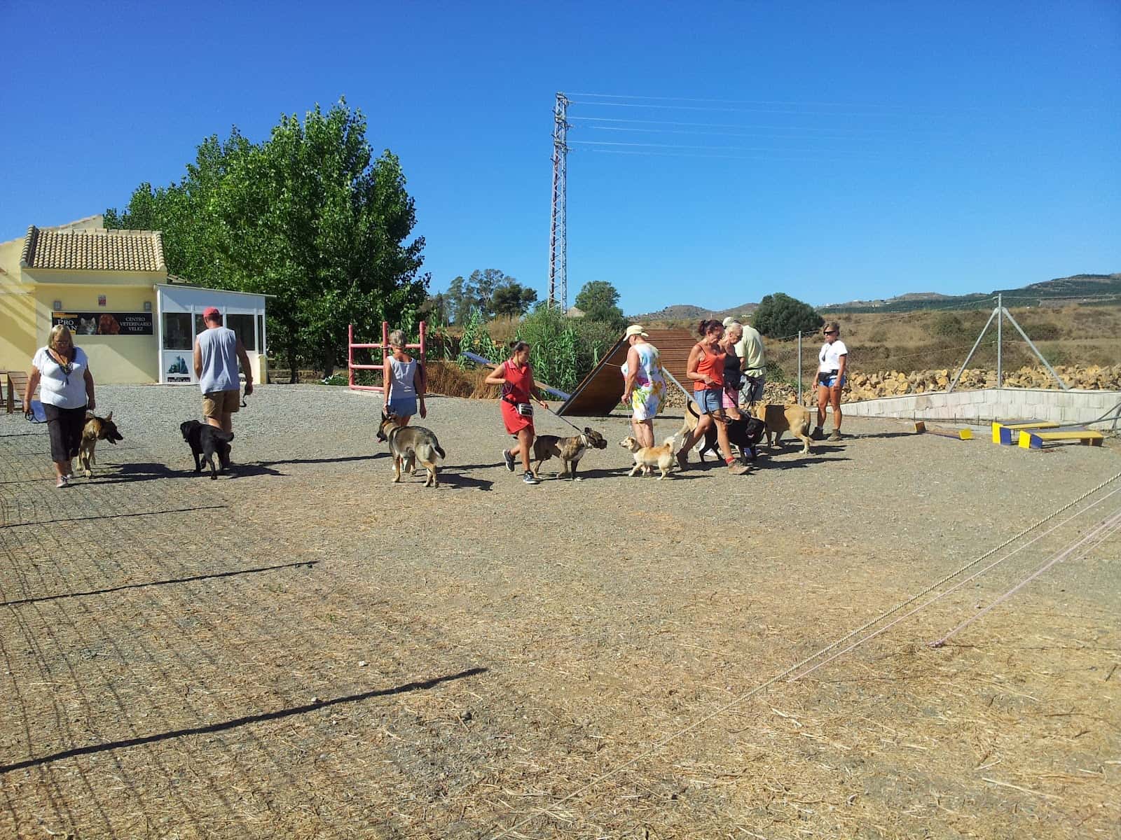 Centro Veterinario Vélez 365