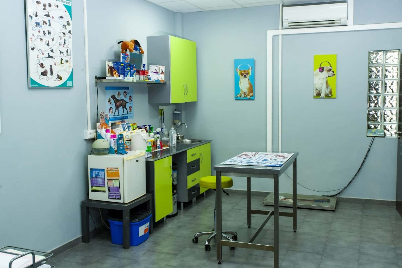 centro veterinario fervet veterinario centro en coin en malaga principalImage ADOPTA Sitios Pet Friendly