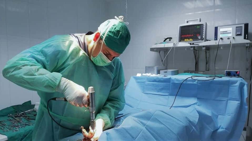 CLÍNICA VETERINARIA CHAMÁN