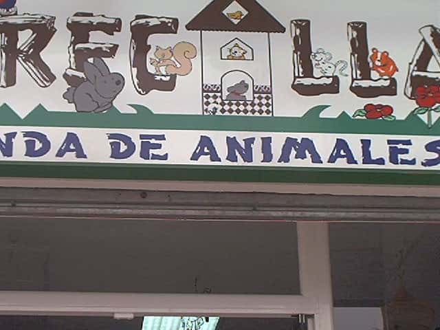 fierecillas veterinario centro en nerja en malaga principalImage ADOPTA Sitios Pet Friendly