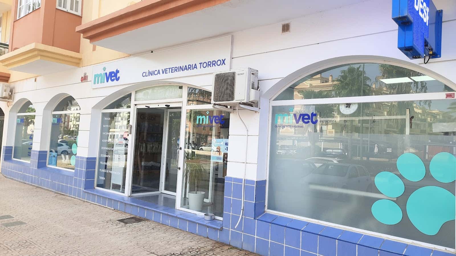 clinica veterinaria torrox  mivet veterinario clinica en torrox en malaga principalImage ADOPTA Sitios Pet Friendly