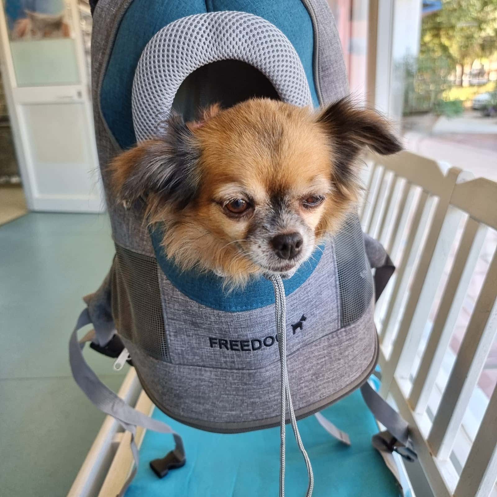 Clínica Veterinaria Animal Trust