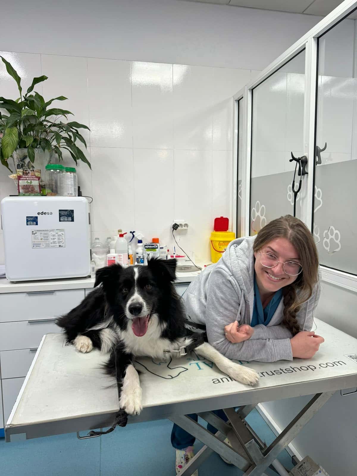 Clínica Veterinaria Animal Trust