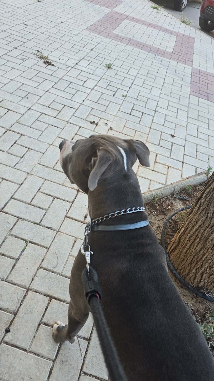 Clínica Veterinaria Vinca