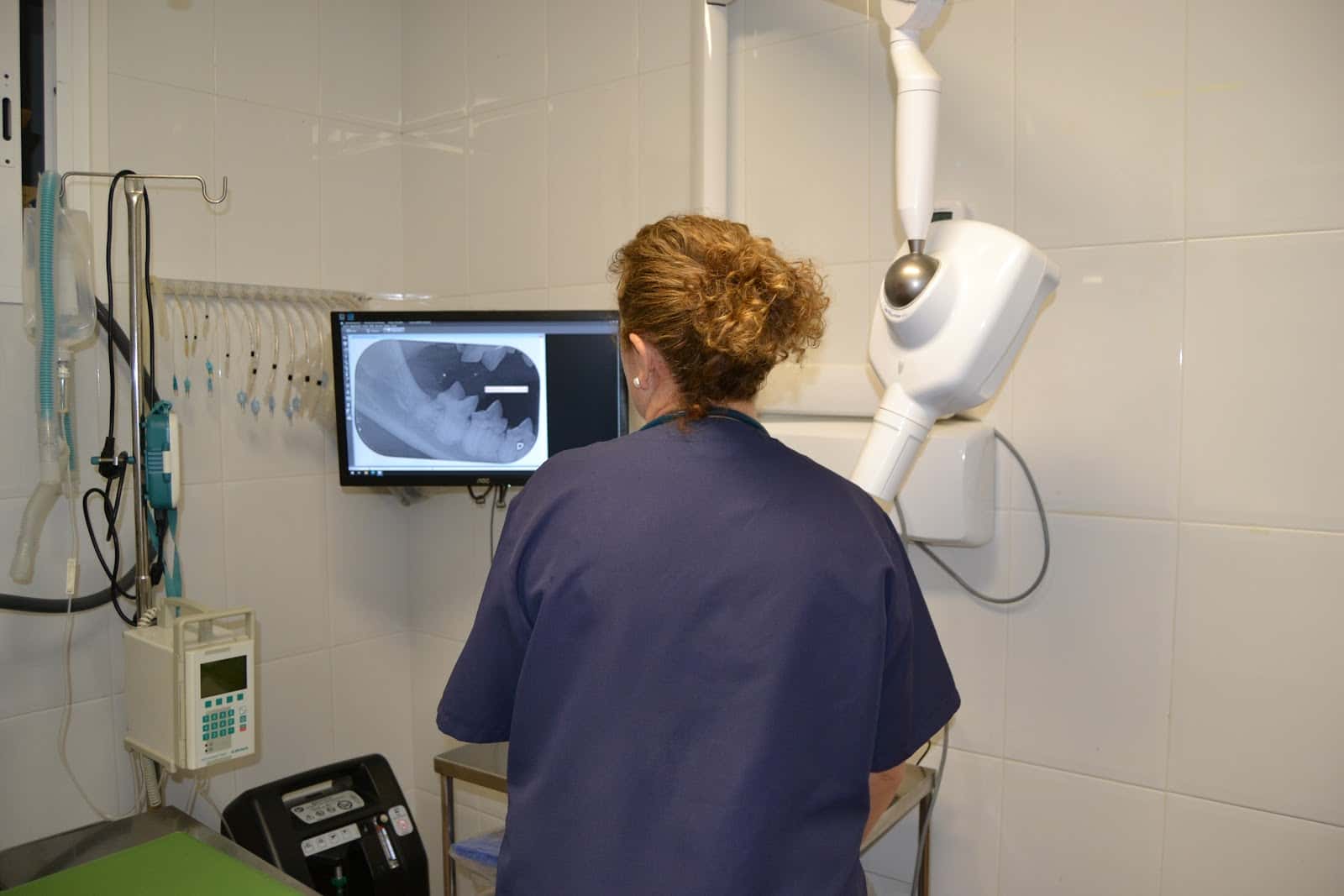 Clínica Veterinaria Ana Morales Loriguillo