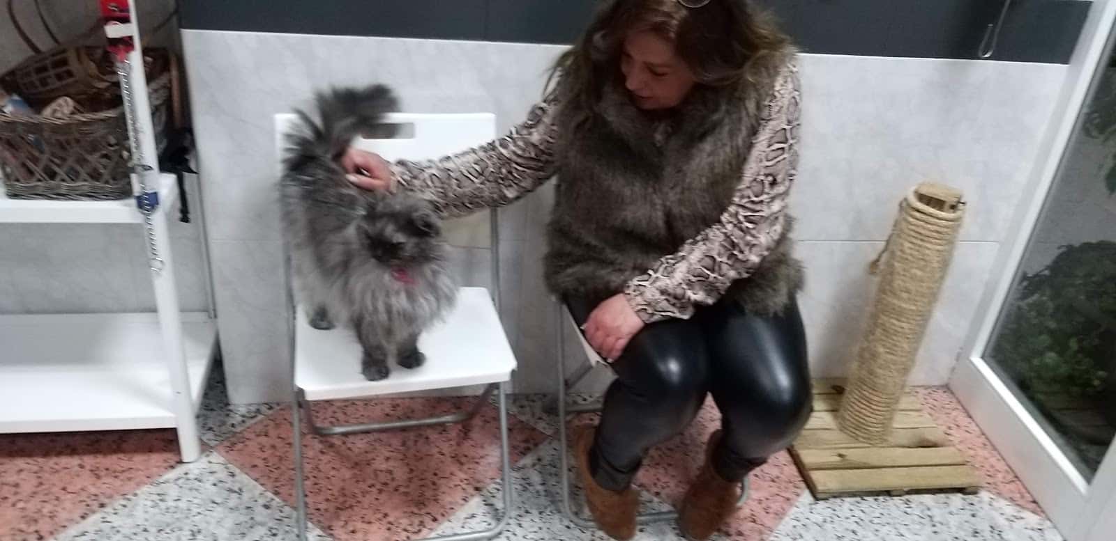 Clínica Veterinaria Cuca Martín