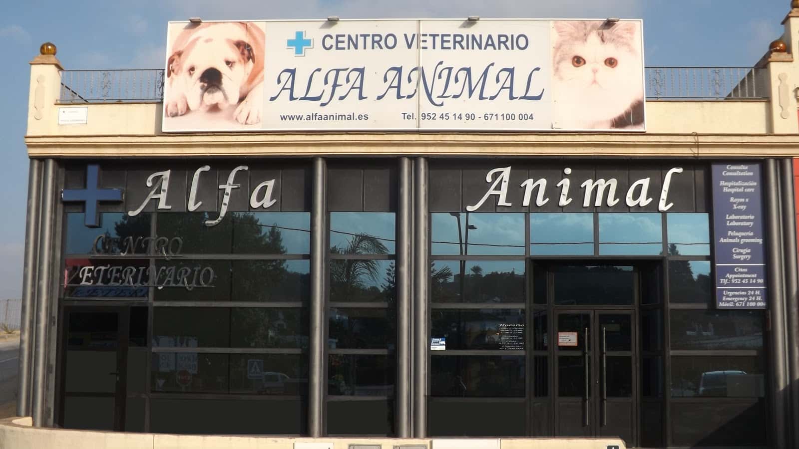 alfa veterinarios coin veterinario centro en coin en malaga principalImage ADOPTA Sitios Pet Friendly