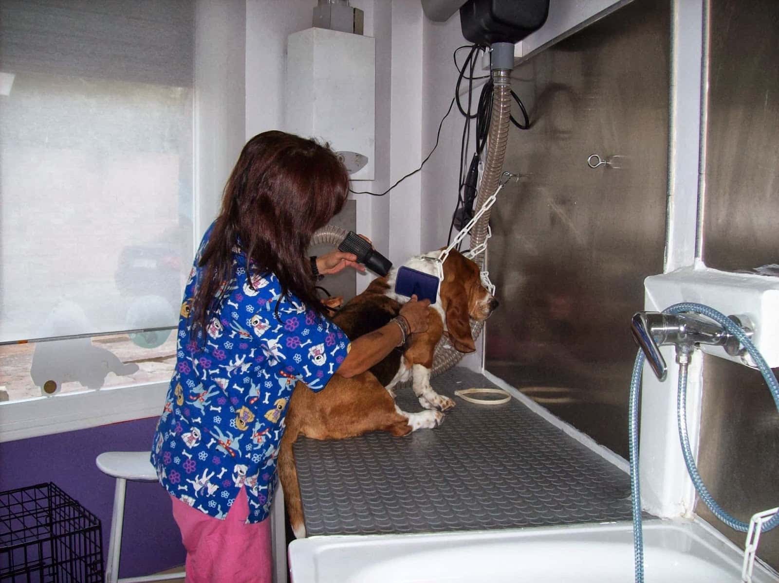 Centro Veterinario La Casa Morada