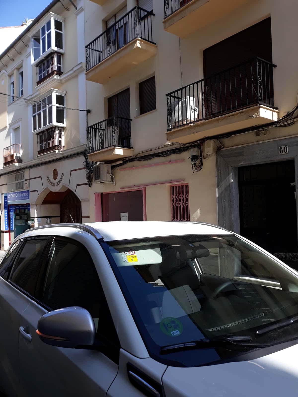 san francisco veterinario centro en antequera en malaga principalImage ADOPTA Sitios Pet Friendly