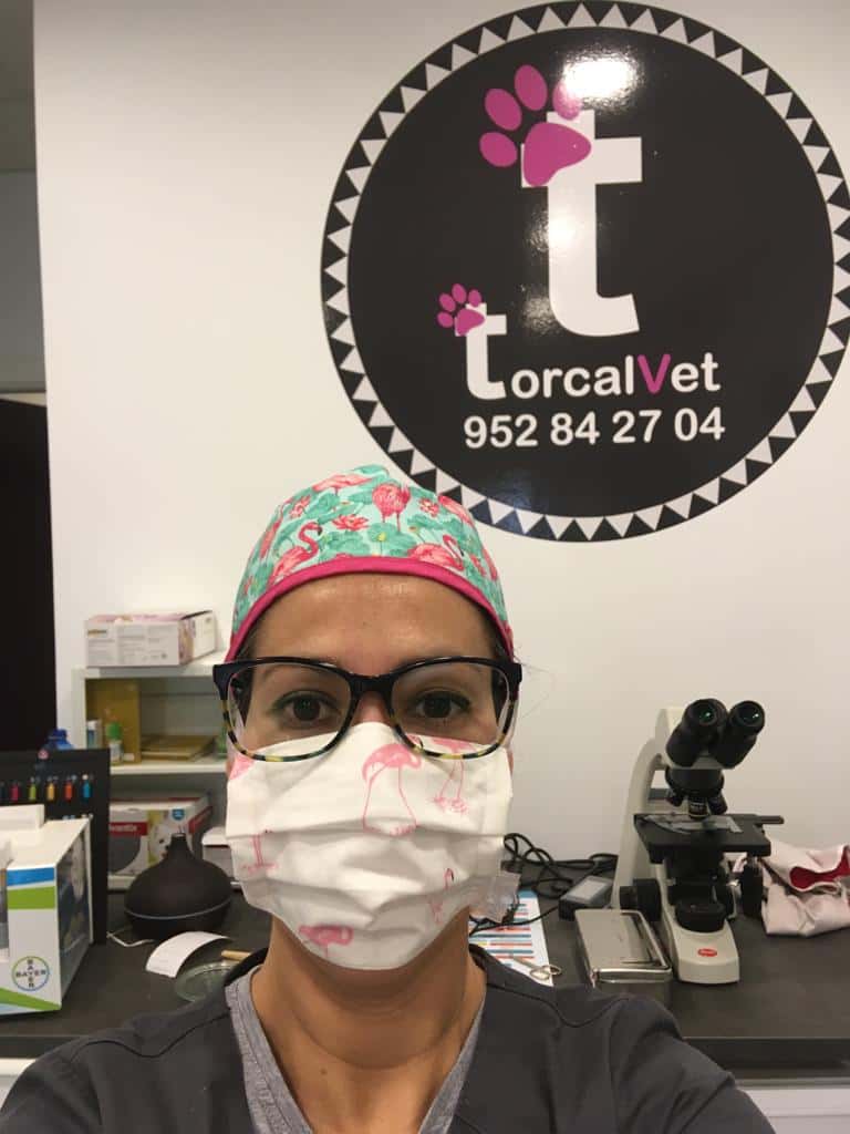 Torcalvet clínica veterinaria