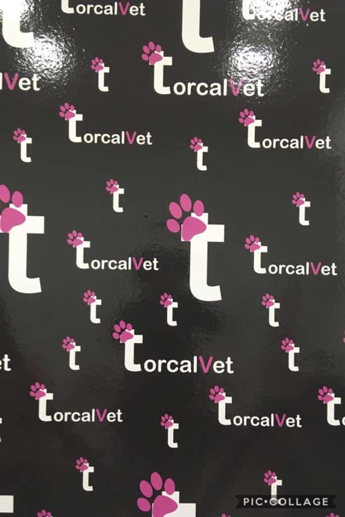 Torcalvet clínica veterinaria