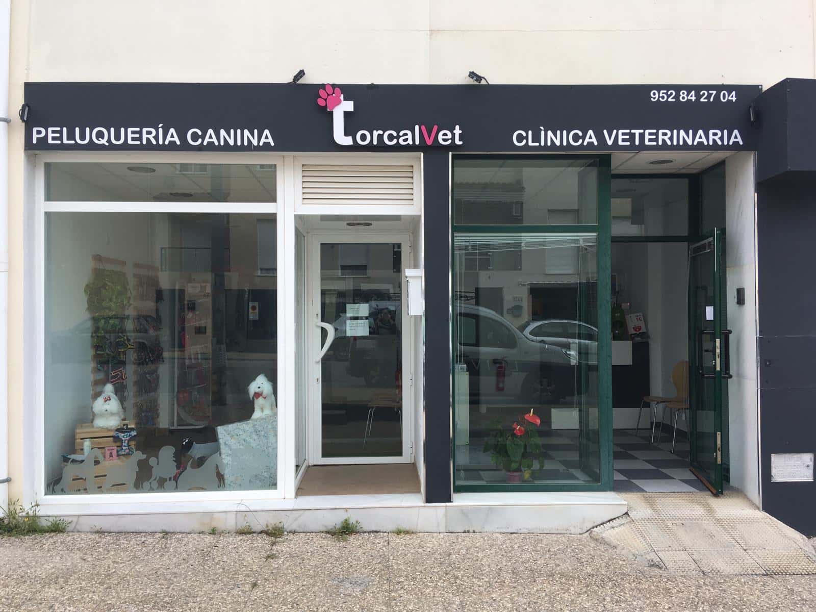 torcalvet clinica veterinaria veterinario clinica en antequera en malaga principalImage ADOPTA Sitios Pet Friendly
