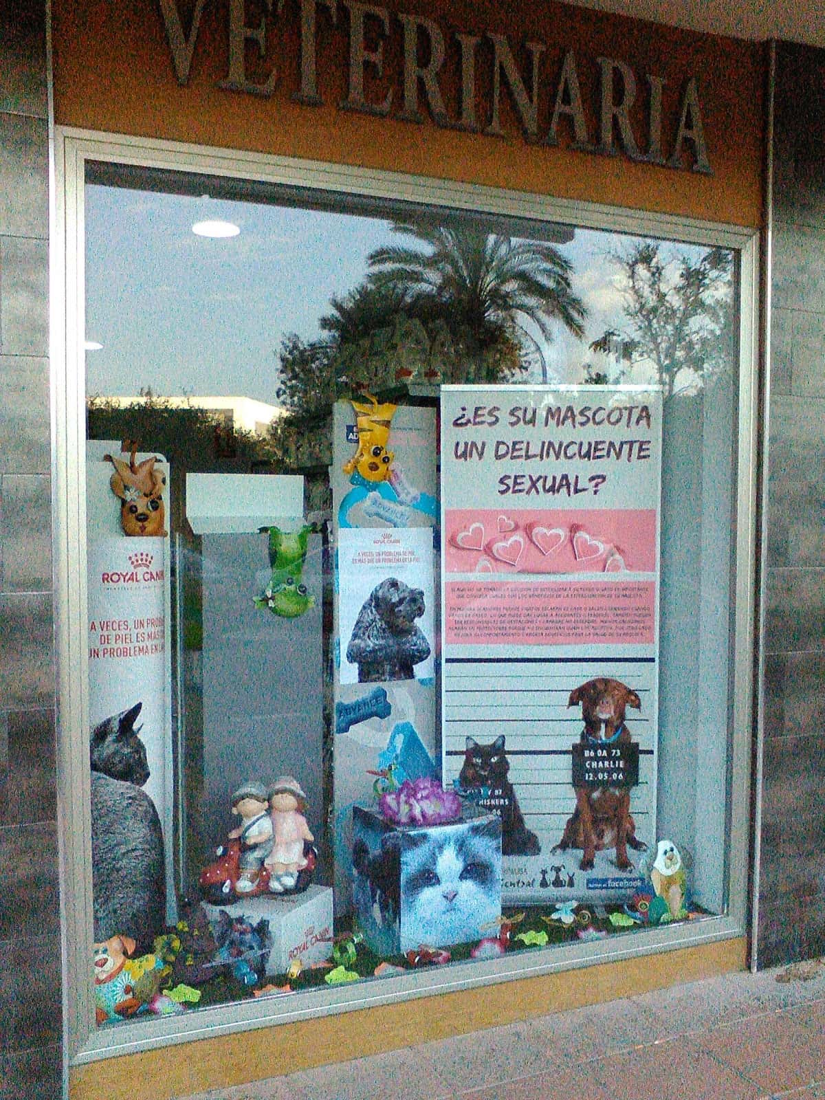 clinica veterinaria parque central veterinario clinica en estepona en malaga photo undefined ADOPTA Sitios Pet Friendly
