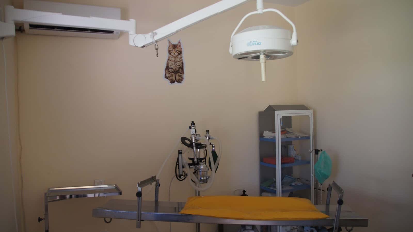 Pointer Veterinary Clinic - Estepona