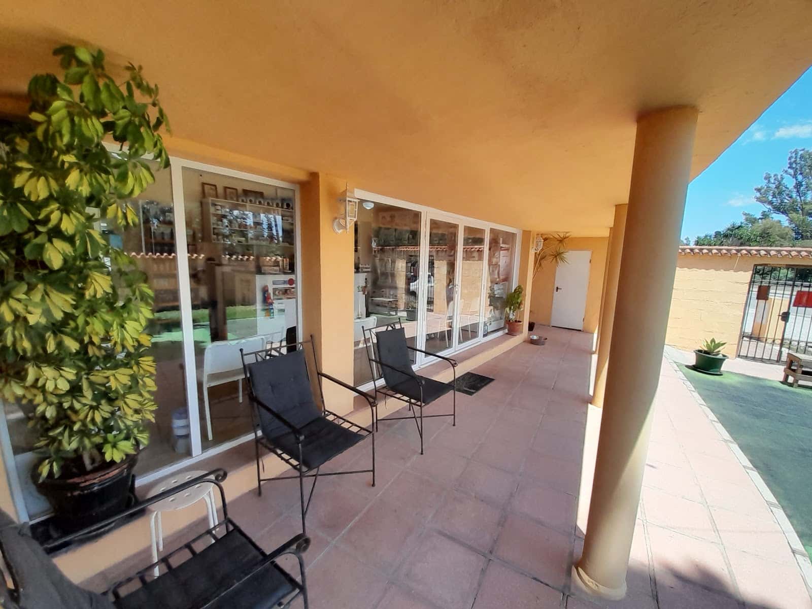 Pointer Veterinary Clinic - Estepona