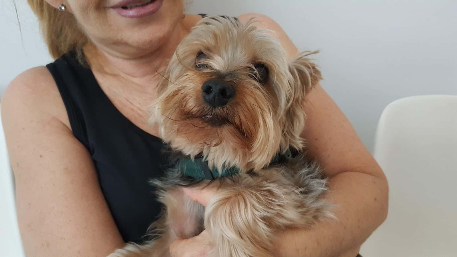 Clínica Veterinaria Tamara