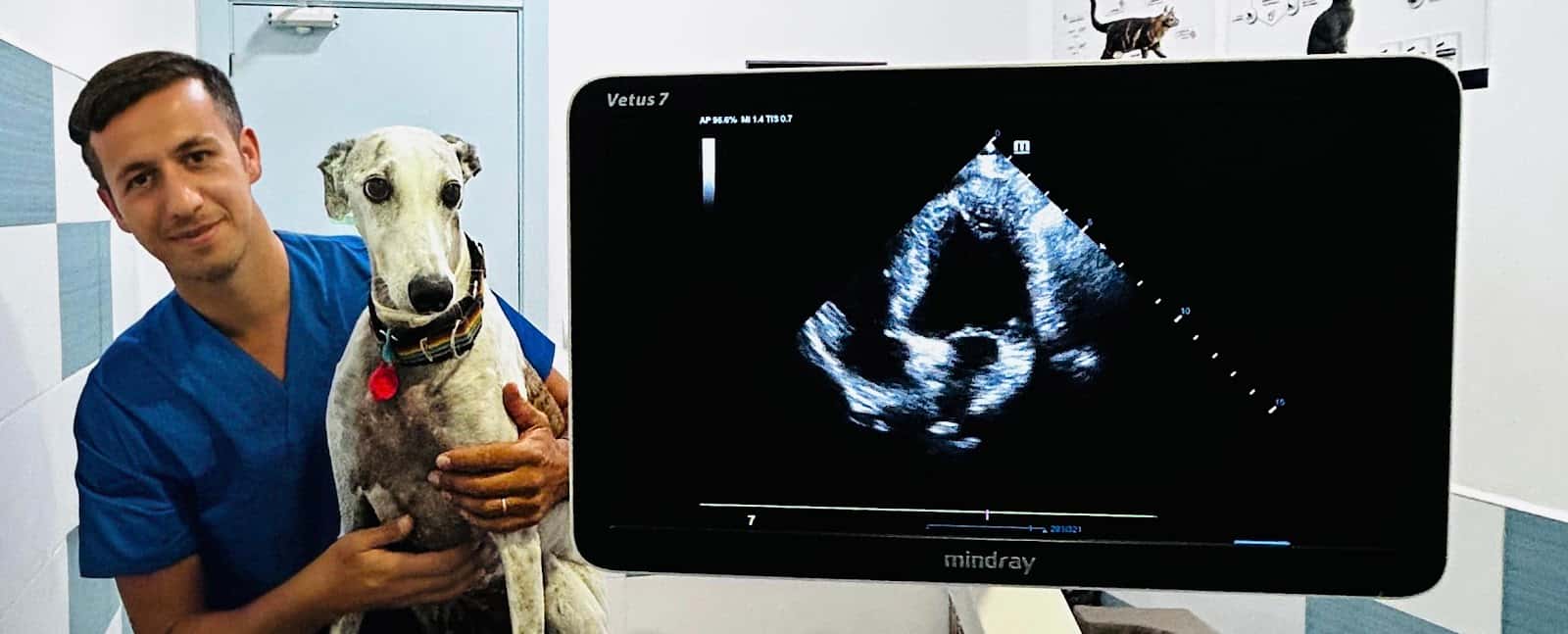 🫀🐕🐈⬛ Veterinario Especialista en Cardiología Leo La Delfa