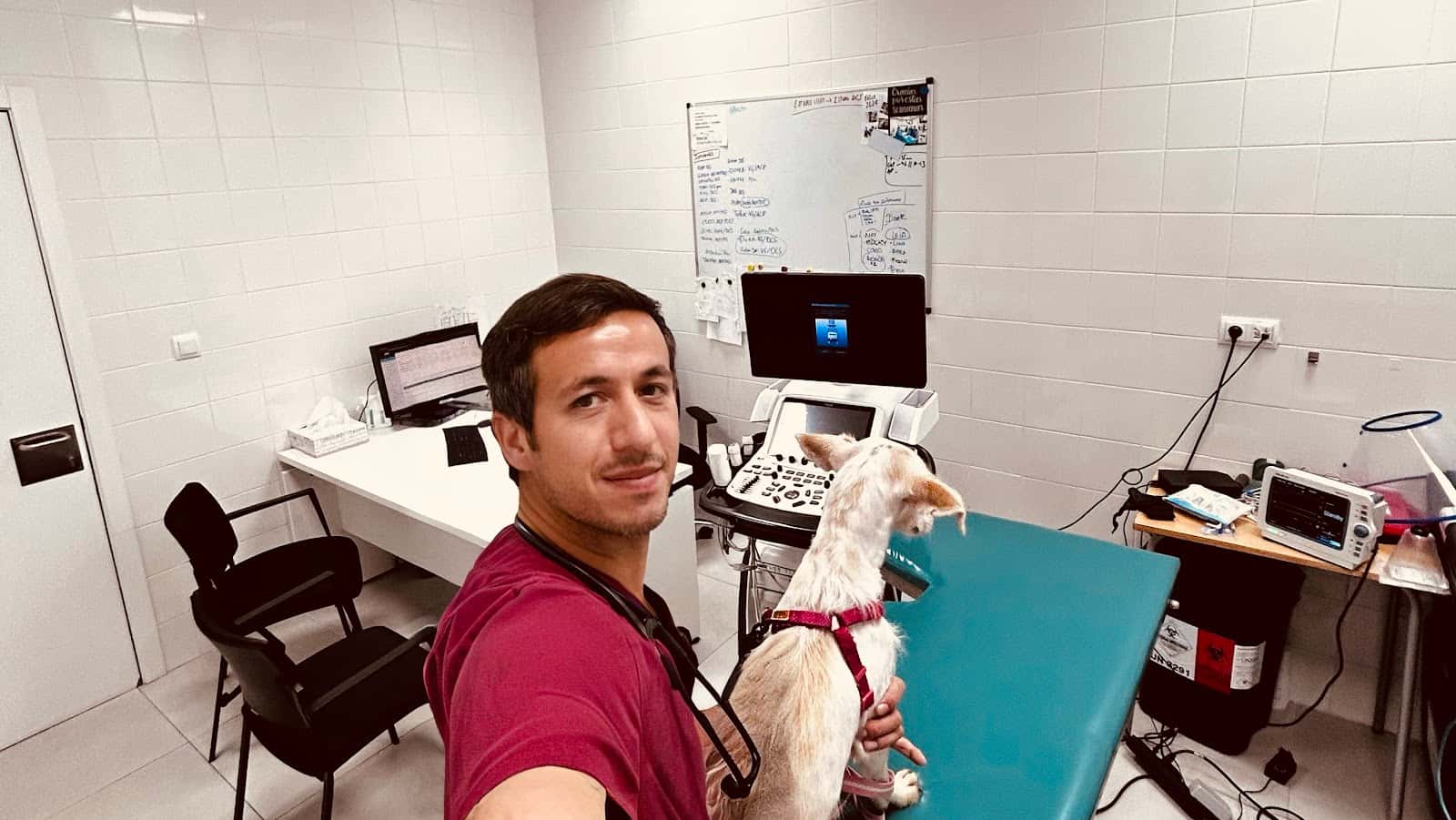 veterinario especialista en cardiologia leo la delfa veterinario centro en estepona en malaga principalImage ADOPTA Sitios Pet Friendly