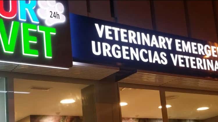 Urvet Marbella Urgencias Veterinarias