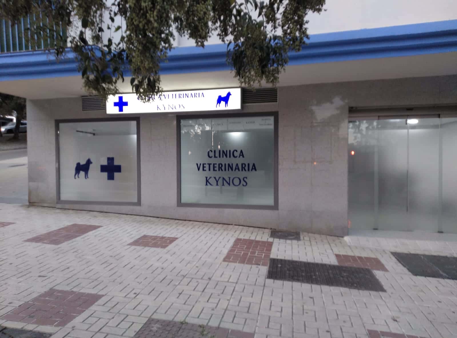 Clinica Veterinaria Kynos Estepona