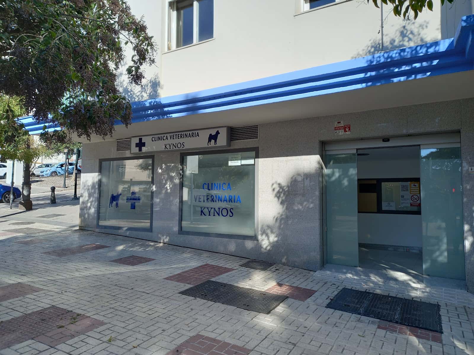 clinica veterinaria kynos estepona veterinario clinica en estepona en malaga principalImage ADOPTA Sitios Pet Friendly