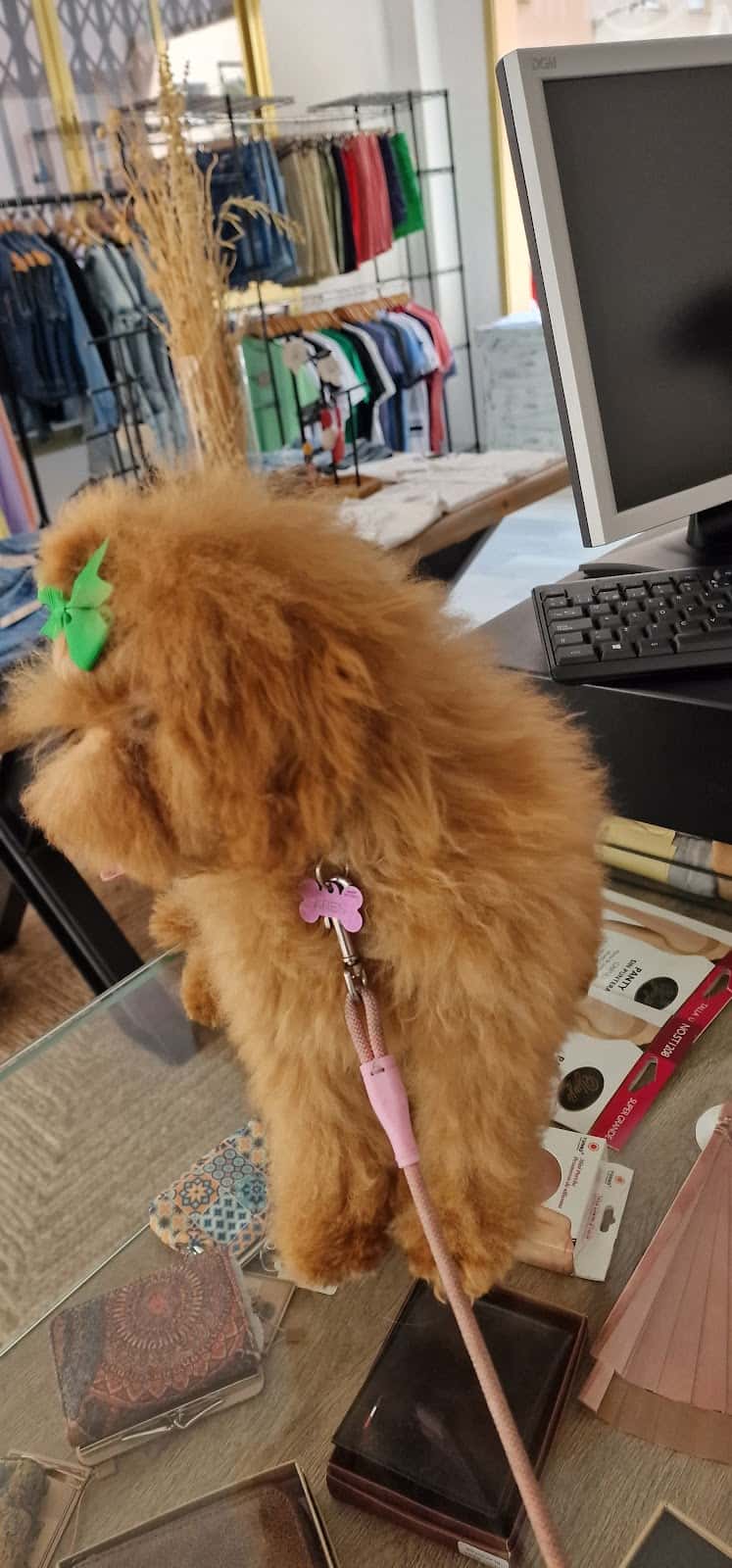 Clinica Veterinaria La Pantera Rosa