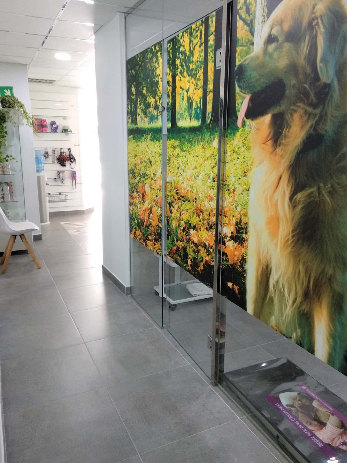 Vetxana, Clinica Veterinaria