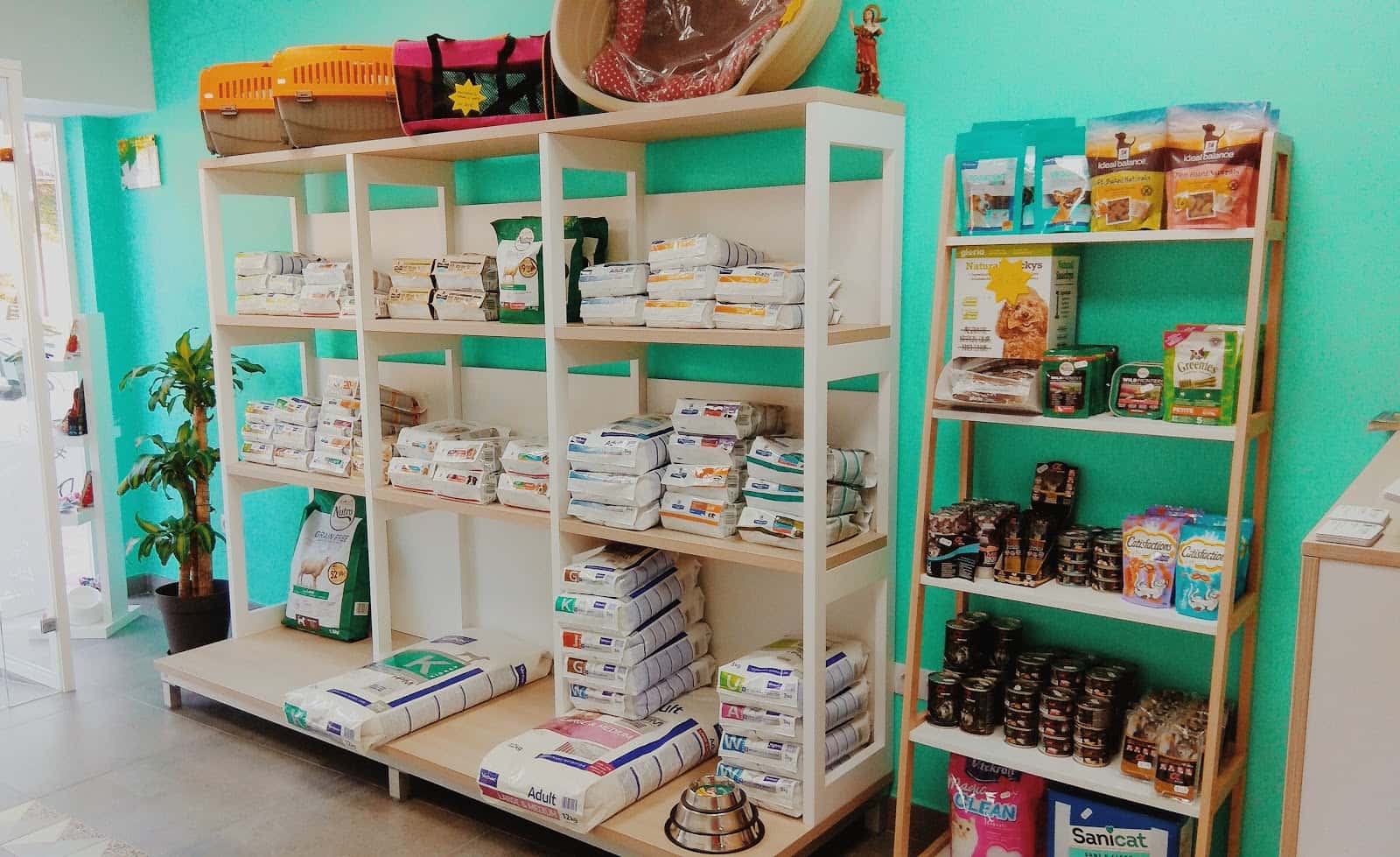 vetxana  clinica veterinaria veterinario clinica en marbella en malaga principalImage ADOPTA Sitios Pet Friendly
