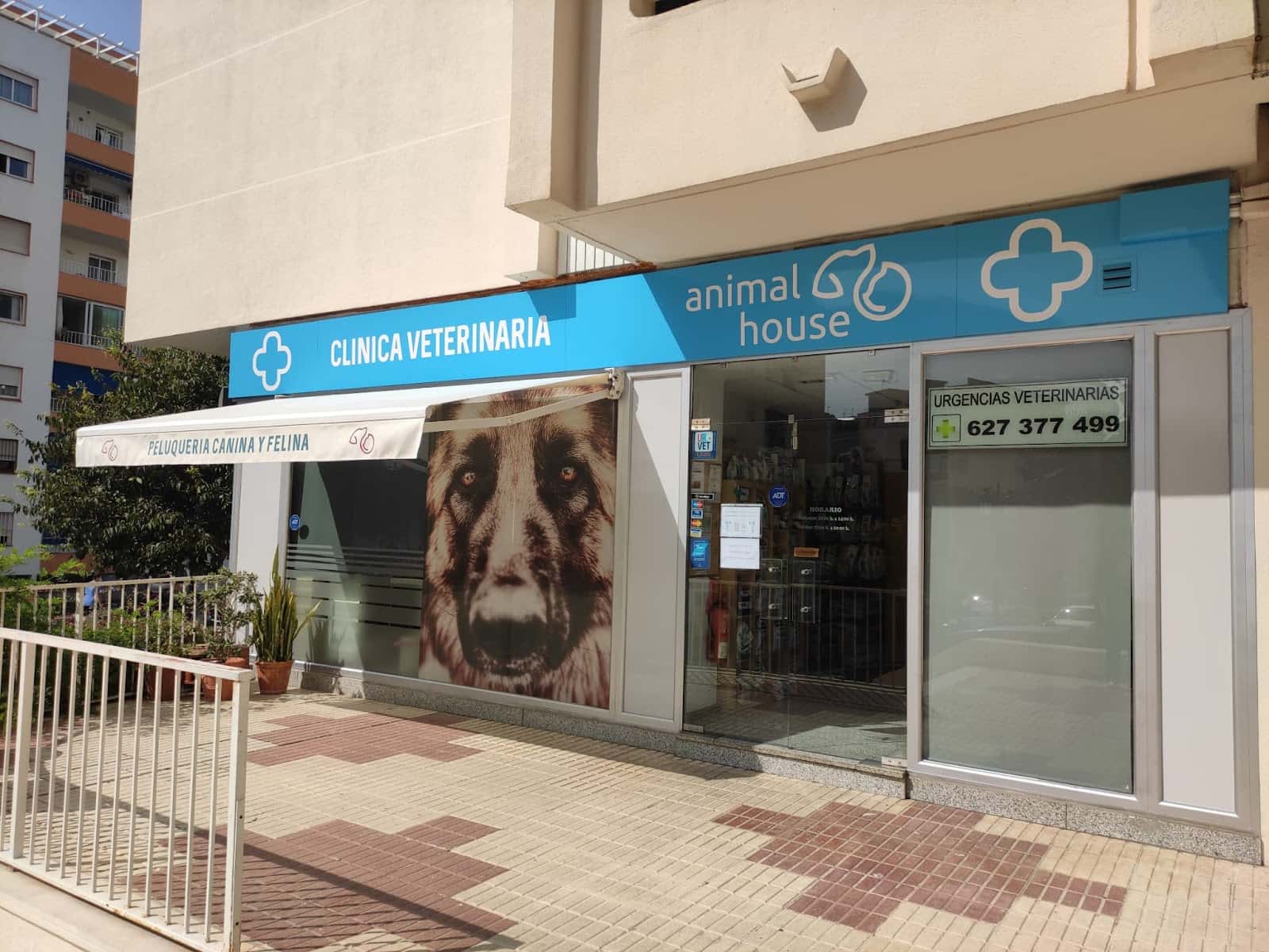 clinica veterinaria animal house veterinario clinica en marbella en malaga principalImage ADOPTA Sitios Pet Friendly