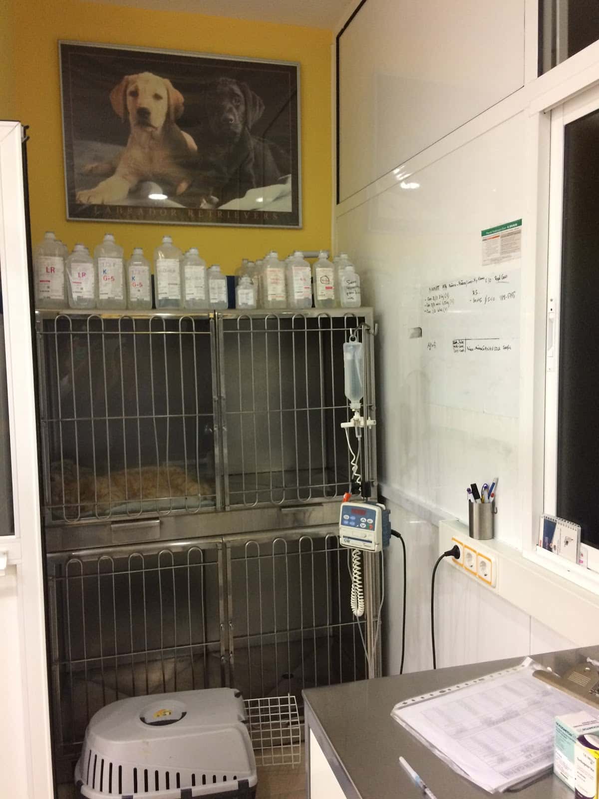 Centro Veterinario Equus Can