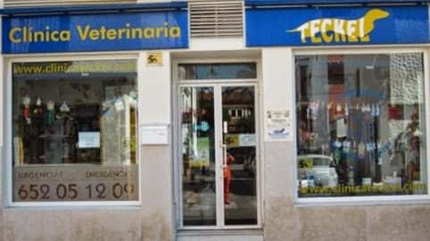 clinica veterinaria teckel veterinario clinica en la cala de mijas en malaga principalImage ADOPTA Sitios Pet Friendly