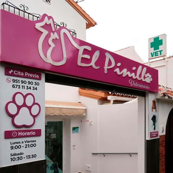 centro veterinario el pinillo veterinario centro en torremolinos en malaga principalImage ADOPTA Sitios Pet Friendly
