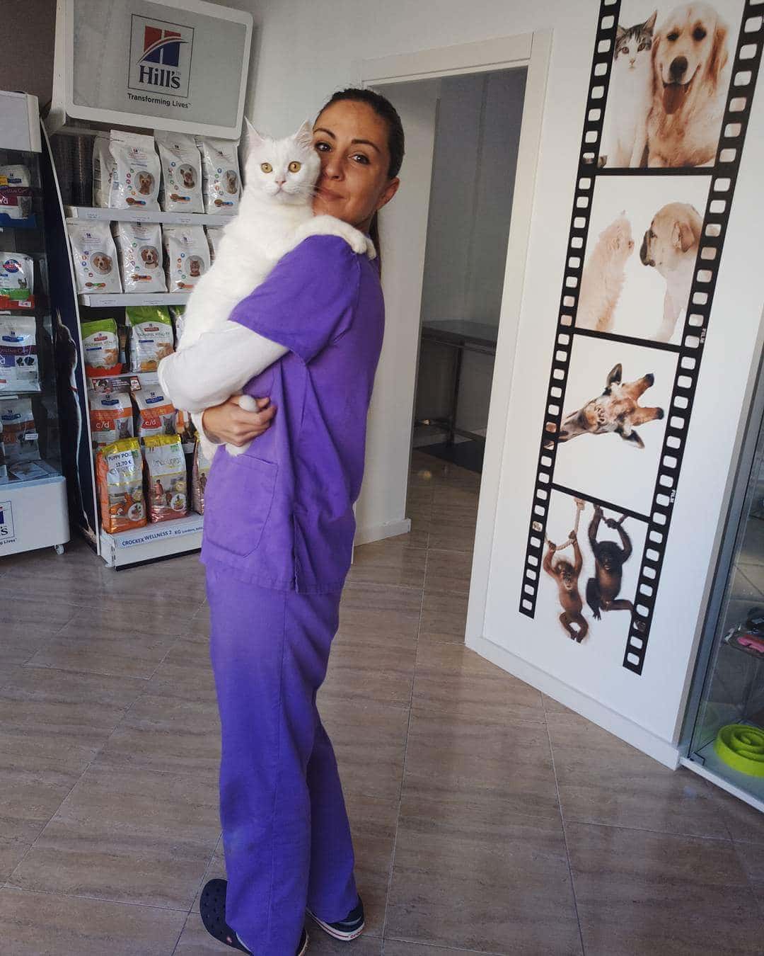 Clínica Veterinaria PinoVet El Pinillo Torremolinos