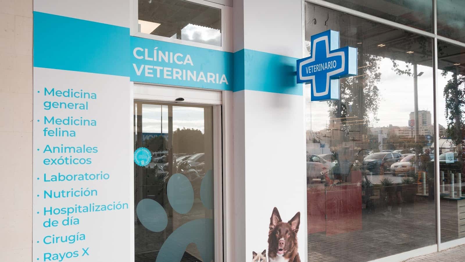 kivet salud animal veterinario centro en las lagunas de mijas en malaga principalImage ADOPTA Sitios Pet Friendly