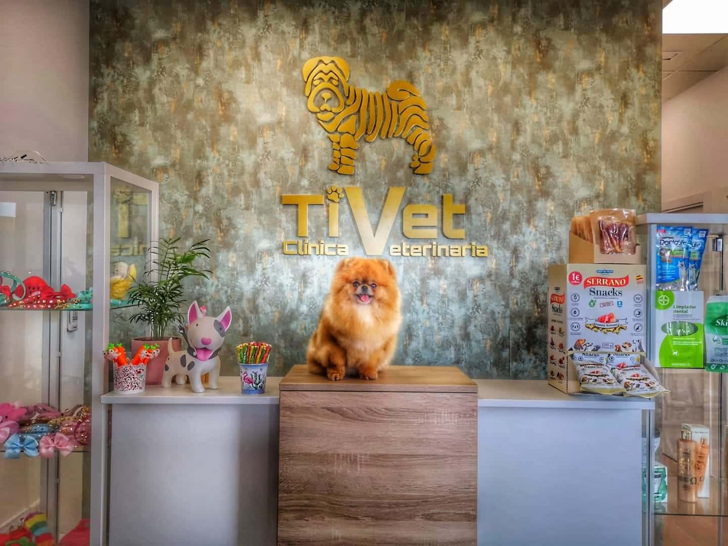 TIVET clínica Veterinaria
