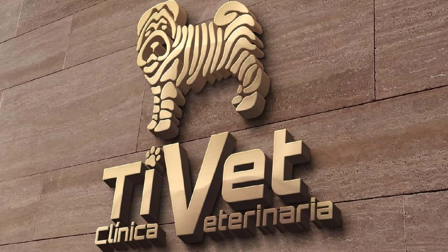 tivet clinica veterinaria veterinario clinica en las lagunas de mijas en malaga principalImage ADOPTA Sitios Pet Friendly
