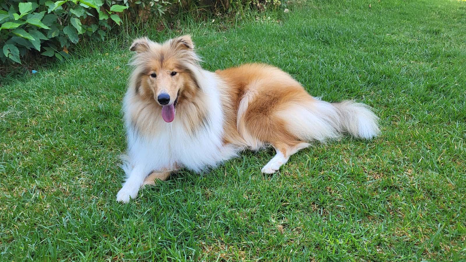 Centro Veterinario Benalmádena Costa
