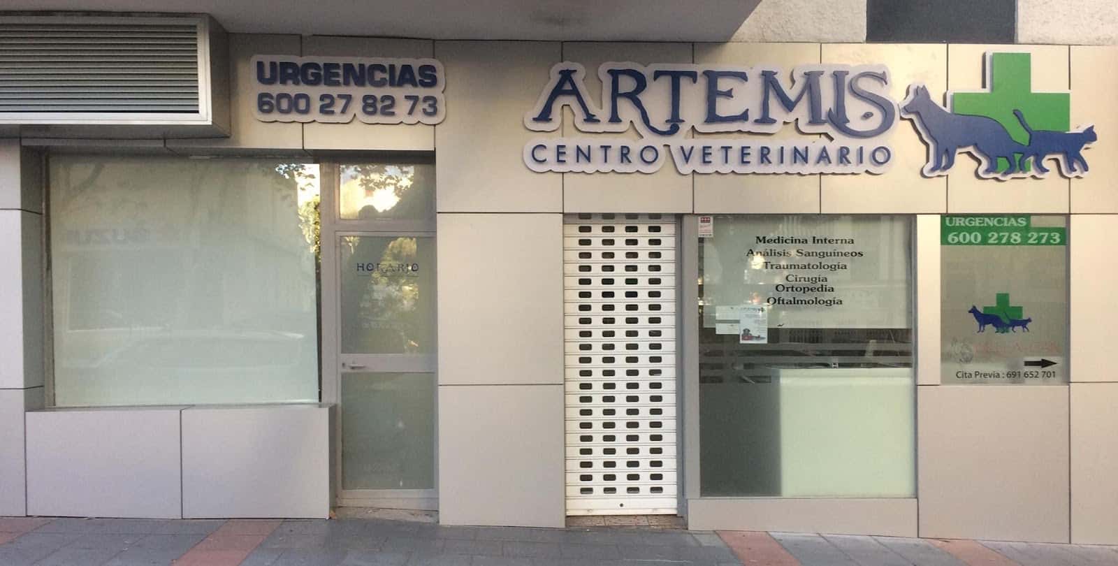 artemis veterinario centro en marbella en malaga principalImage ADOPTA Sitios Pet Friendly