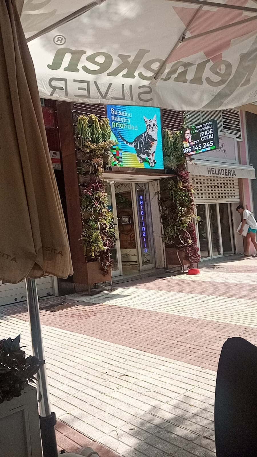 WolikVet Clinica Veterinaria - Marbella
