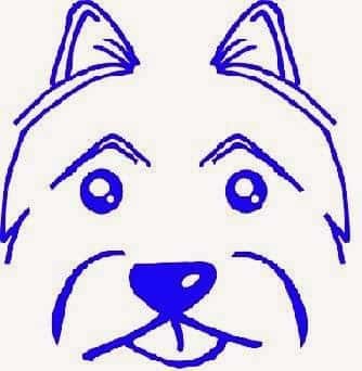 centro veterinario esperanto veterinario centro barrio distrito centro en malaga en malaga principalImage ADOPTA Sitios Pet Friendly