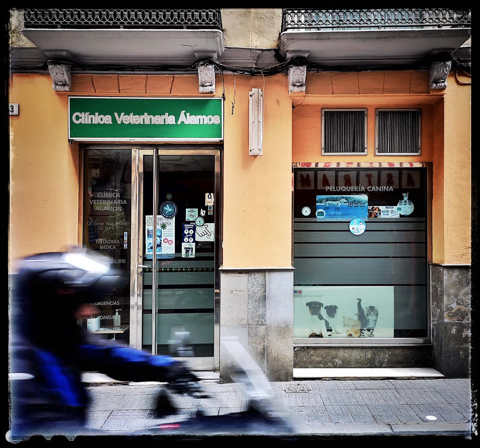 clinica veterinaria alamos veterinario clinica barrio distrito centro en malaga en malaga principalImage ADOPTA Sitios Pet Friendly