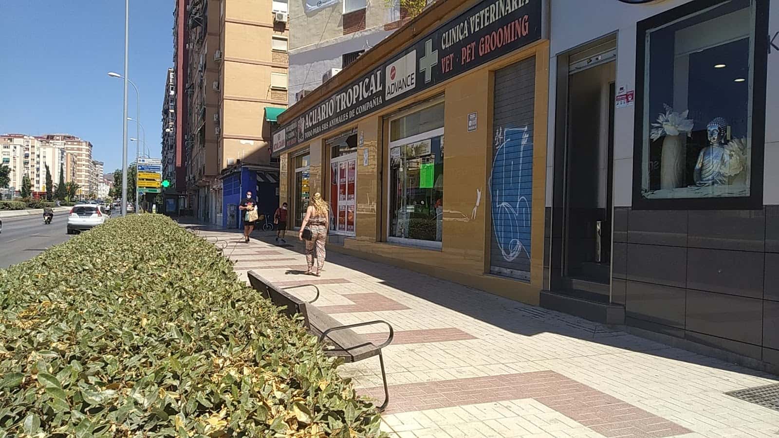 acuario tropical veterinario centro barrio carretera de cadiz en malaga en malaga principalImage ADOPTA Sitios Pet Friendly