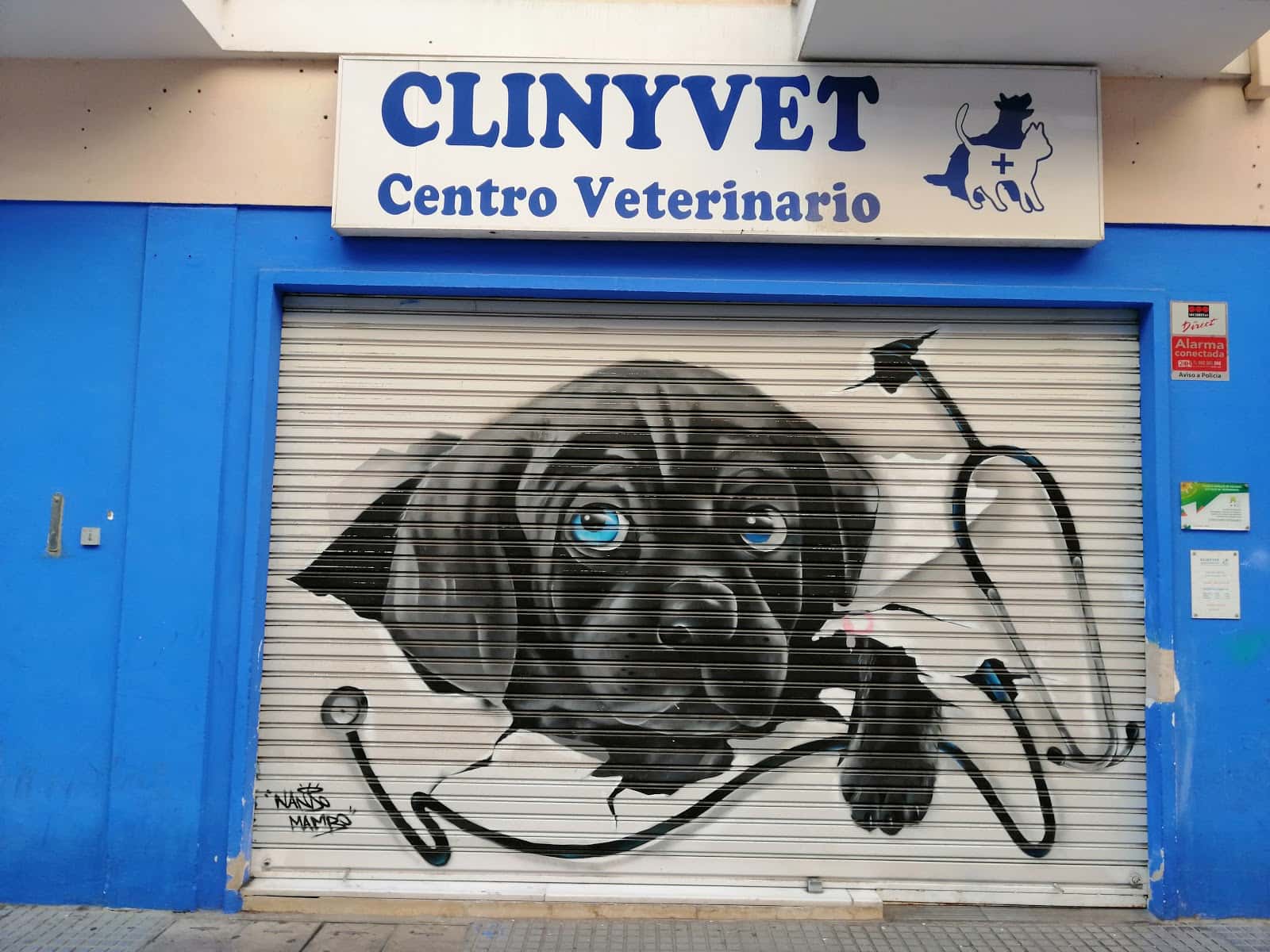 clinyvet centro veterinario veterinario centro barrio distrito centro en malaga en malaga principalImage ADOPTA Sitios Pet Friendly