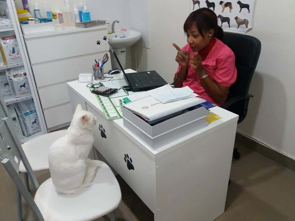 Tu Veterinario en Casa