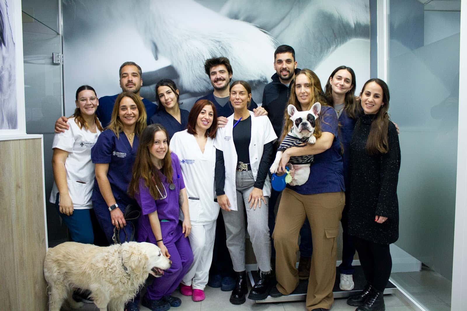 hospital veterinario urvemace veterinario hospital barrio distrito centro en malaga en malaga principalImage ADOPTA Sitios Pet Friendly