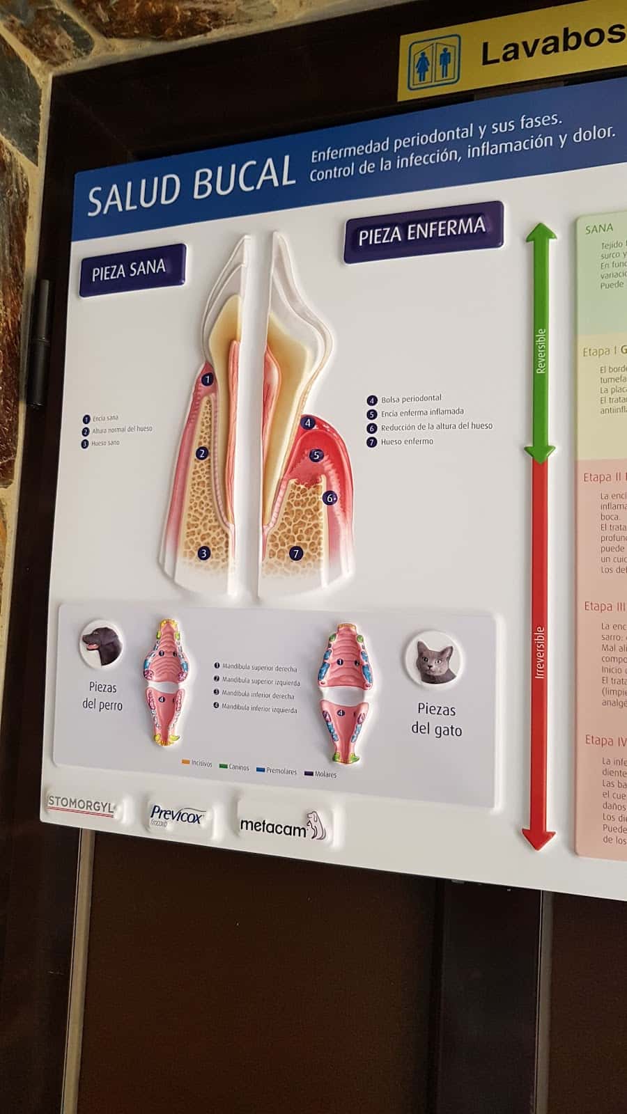 Clínica Veterinaria Pasteur