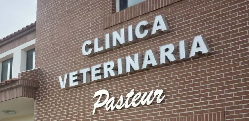 clinica veterinaria pasteur veterinario clinica en campillos en malaga principalImage ADOPTA Sitios Pet Friendly