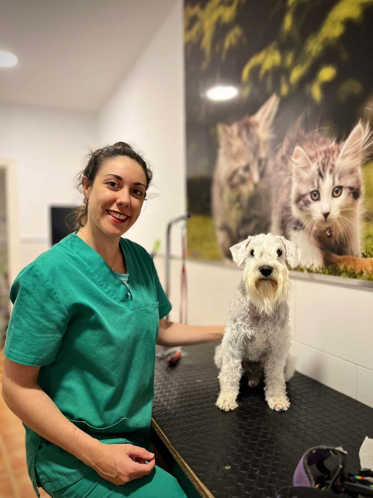 Clínica Veterinaria Salamanca